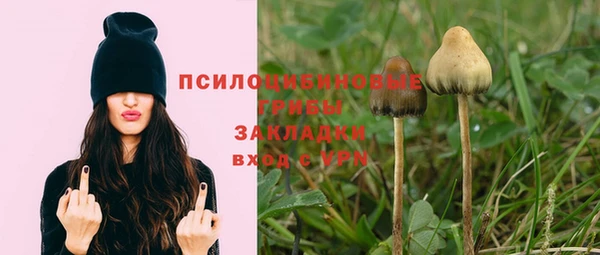 бутират Медвежьегорск