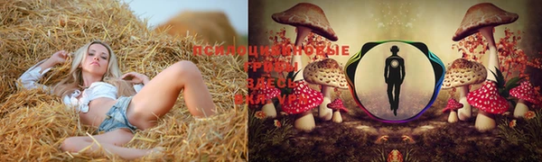 бутират Медвежьегорск