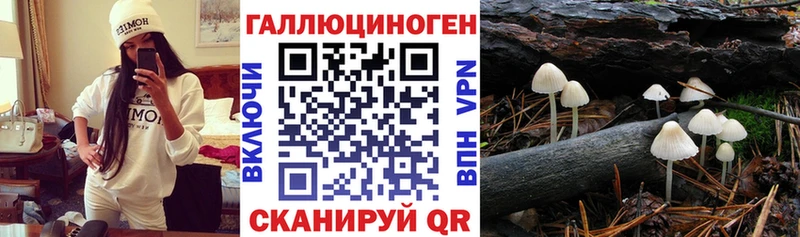 Галлюциногенные грибы Magic Shrooms  Дзержинский 