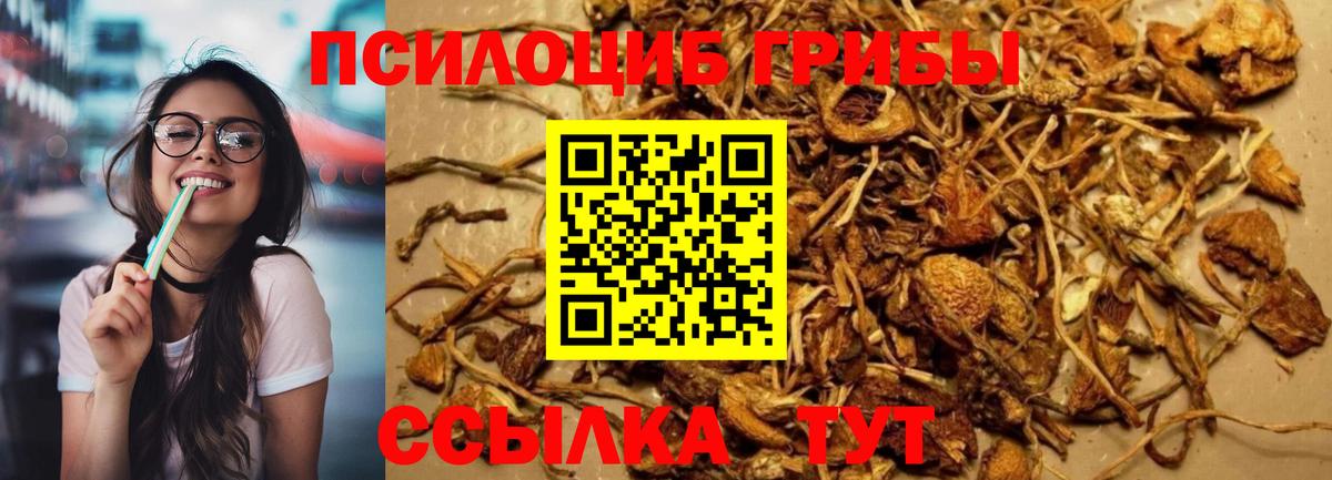Галлюциногенные грибы Magic Shrooms  Дзержинский 