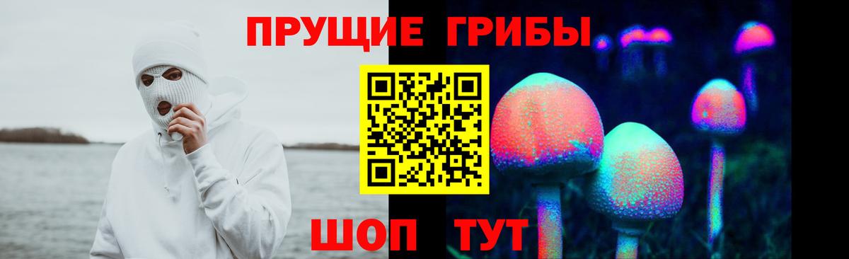 Дзержинский  Галлюциногенные грибы ЛСД  Вход с VPN 